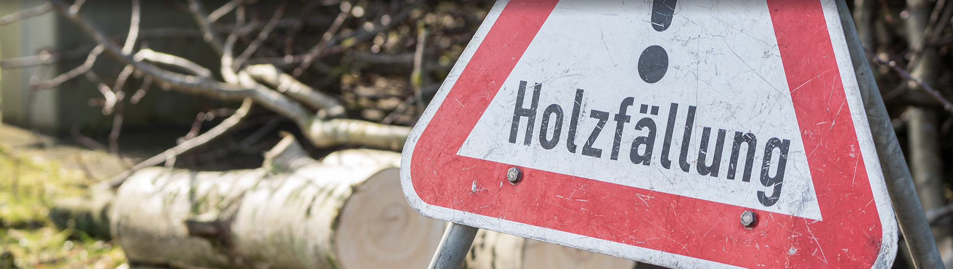 Baumfällung Notfalldienst zur Beseitigung von Sturmschäden in Schwalmtal