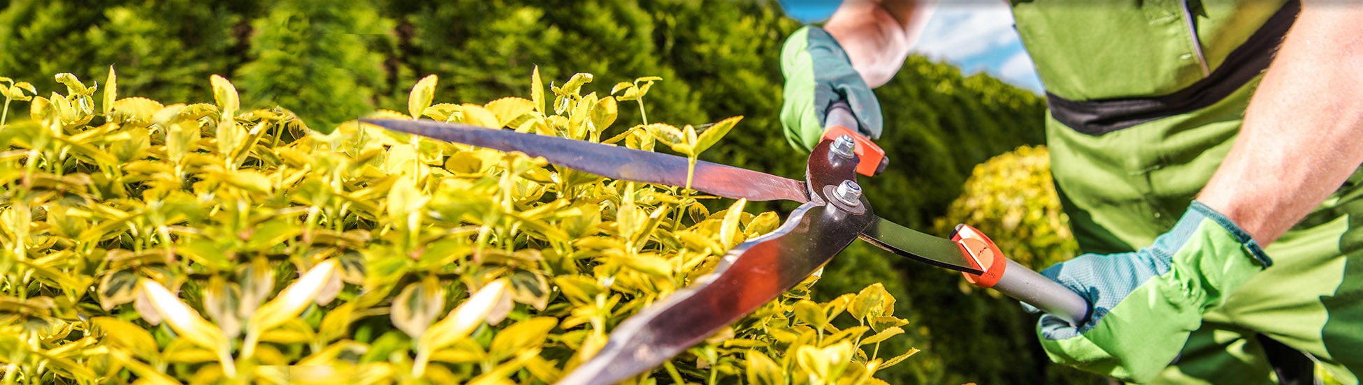 Mit Grünwerk Schwalmtal Garten- und Landschaftsbauer zu Ihrem Traumgarten