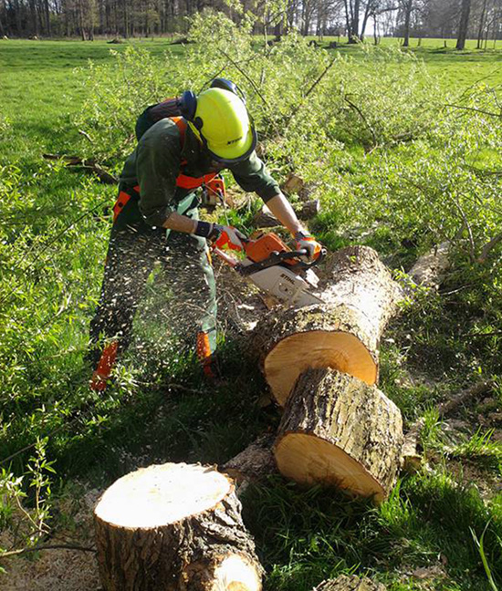 Baumschnitt und Baumpflege in Schwalmtal